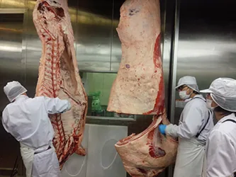吊るした枝肉を作業員が脱骨する様子
